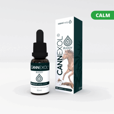 Cannexol Buddy 10% 10ml - cannhelp
