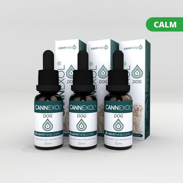 Cannexol Dog 5% 10ml TRIO - cannhelp