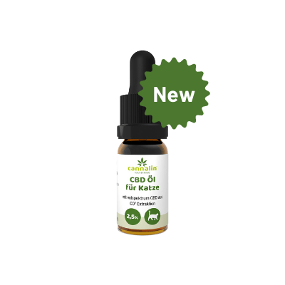 CBD Öl für Katzen mit Lachsöl 2