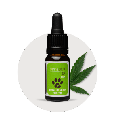 Premium CBD Öl für Katzen 3% ✓ 300 mg CBD ✓ 10ml - Cannadoca