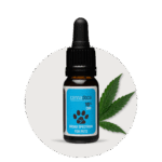 Premium CBD Öl Hund 10% ✓ 1000 mg CBD ✓ 10ml