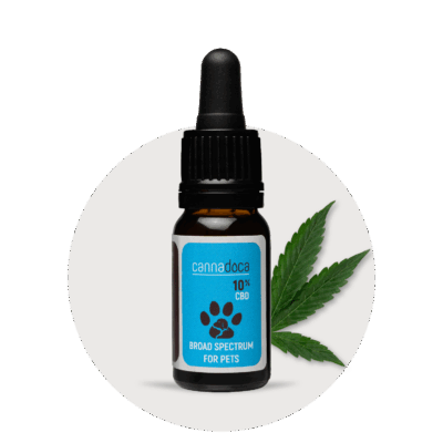 Premium CBD Öl Hund 10% ✓ 1000 mg CBD ✓ 10ml - Cannadoca